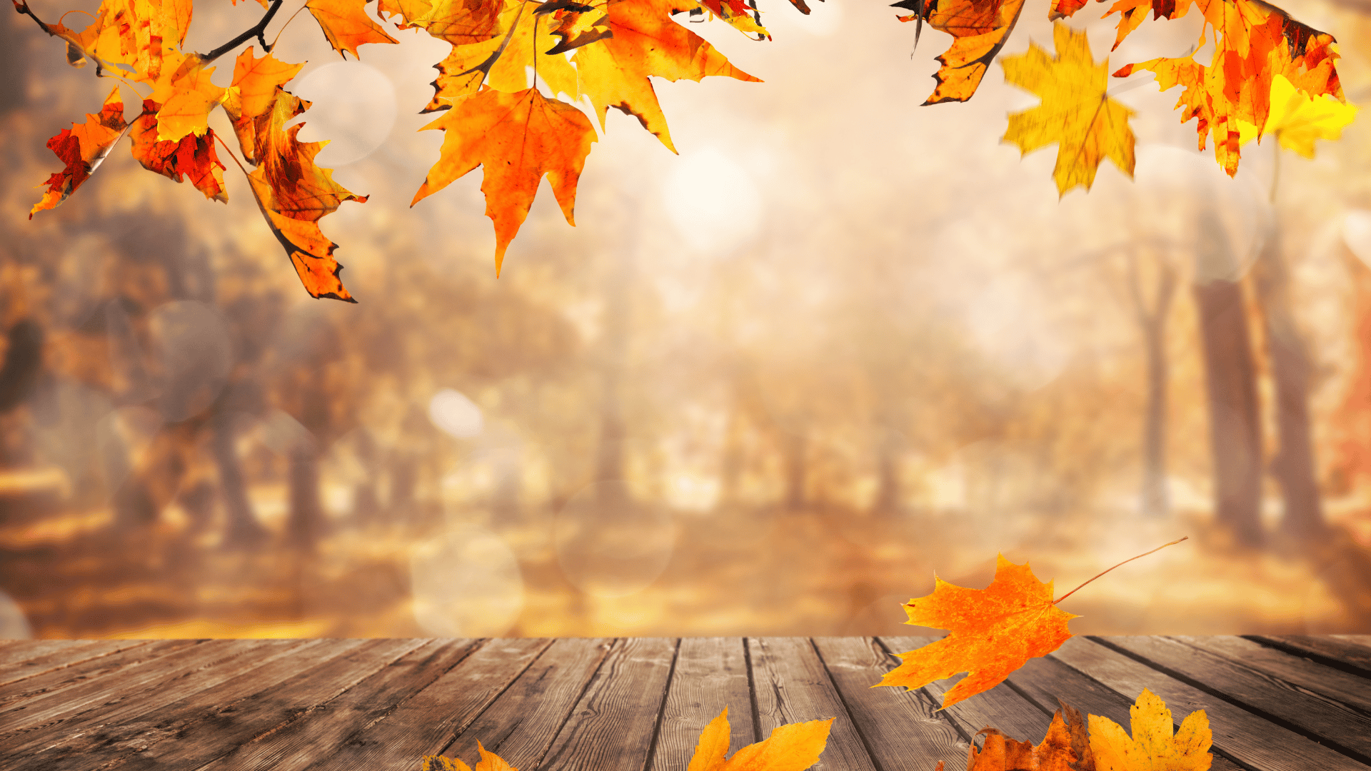 LA CARTE AUTOMNE